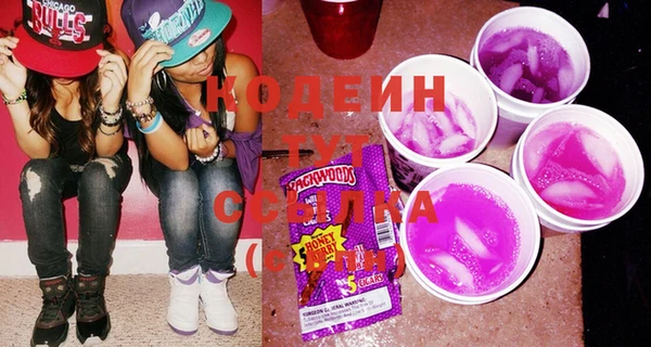 хмурый Корсаков