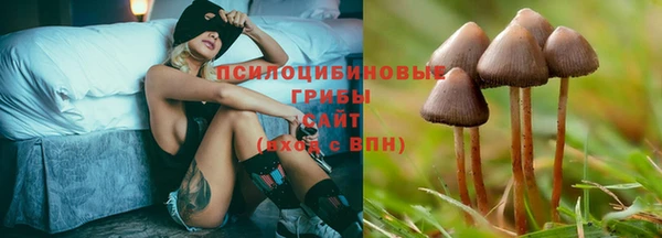 сатива Краснослободск