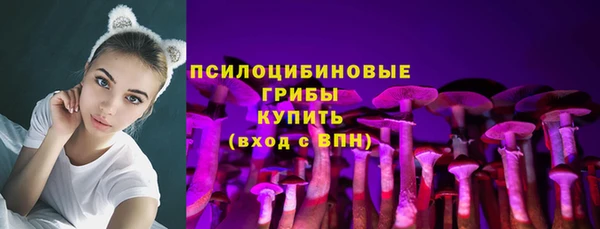 сатива Краснослободск