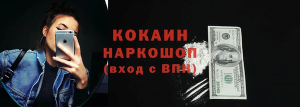 сатива Карпинск