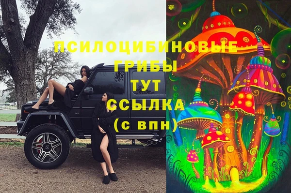 2c-b Касимов