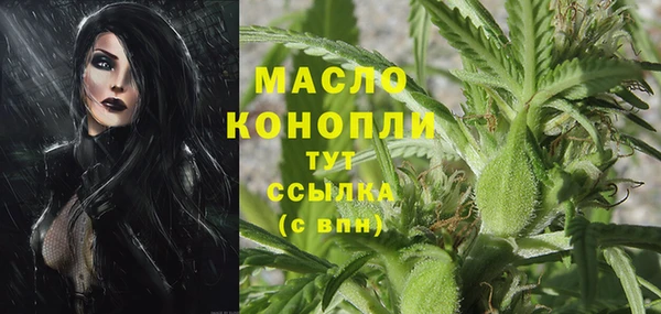 сатива Карпинск