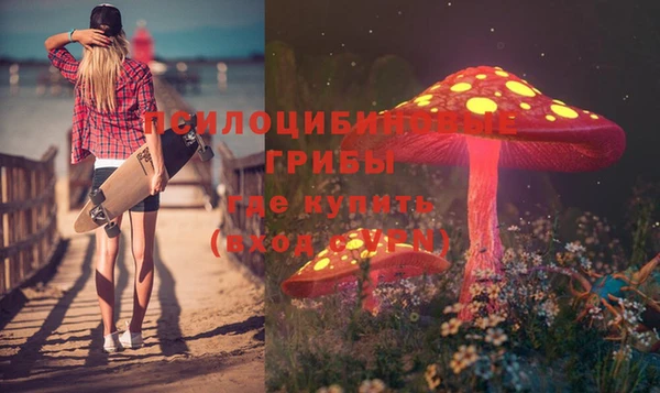 прущая мука Карталы