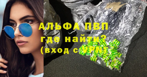 сатива Краснослободск