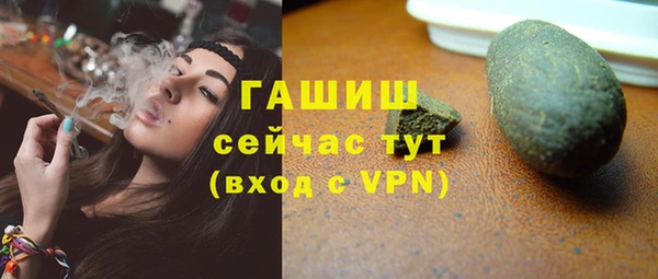 сатива Карпинск